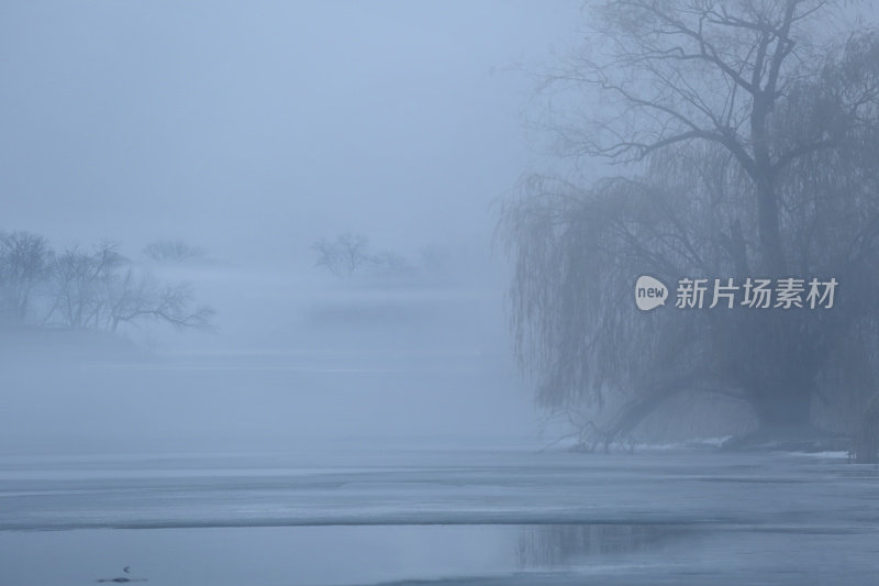 雾冬天的湖和树