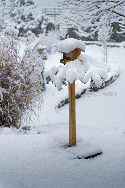 鸟屋用冷杉树枝和雪