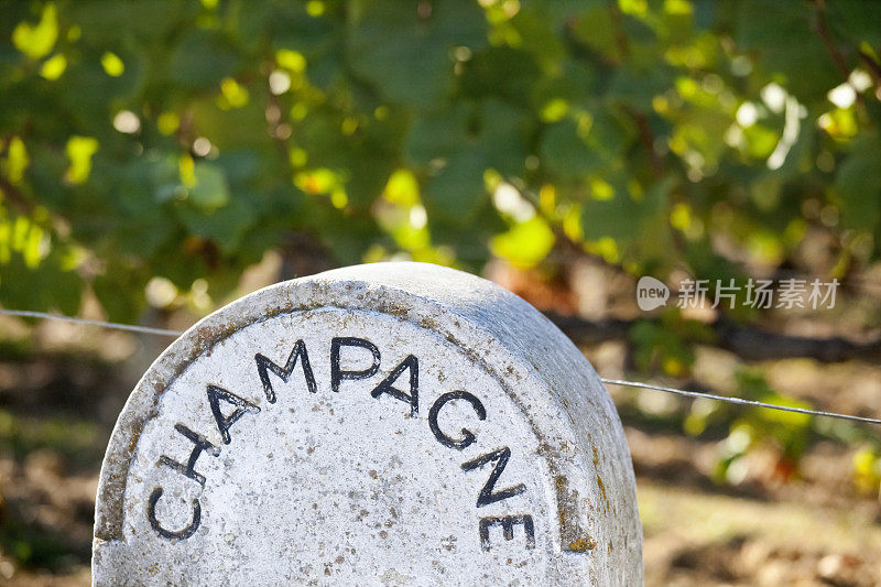 石头香槟葡萄园标志