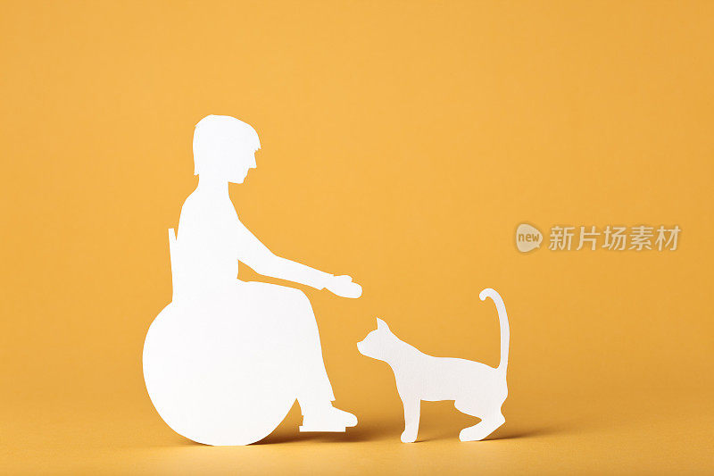 轮椅上的孩子与猫互动:纸上概念