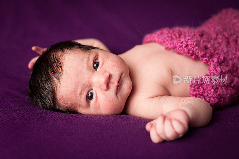 新生女婴包裹在毯子在紫色的背景