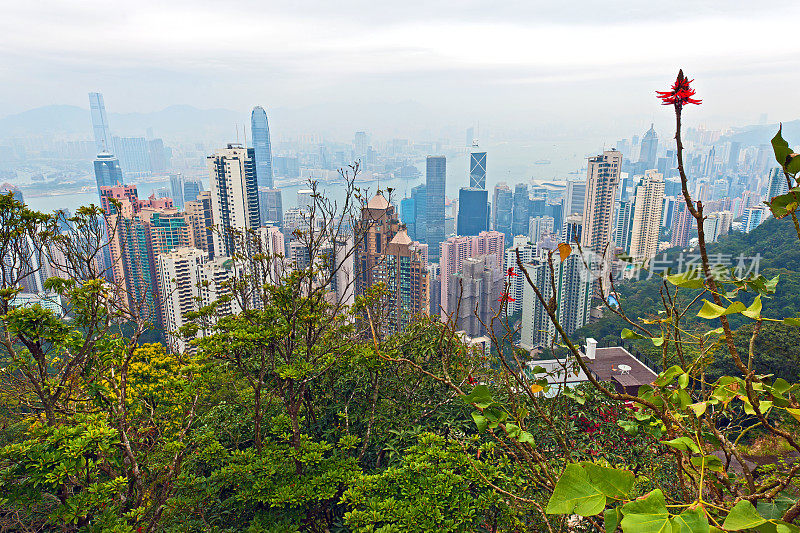 港岛及九龙一览无余