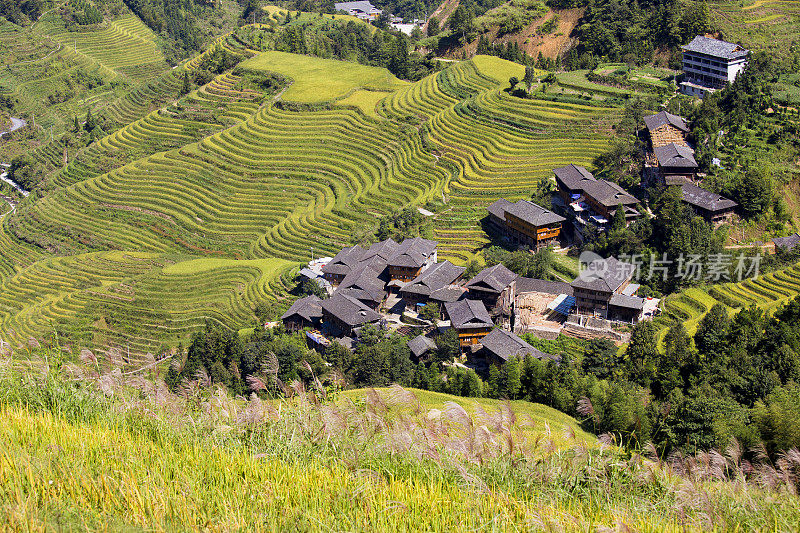 隆基梯田