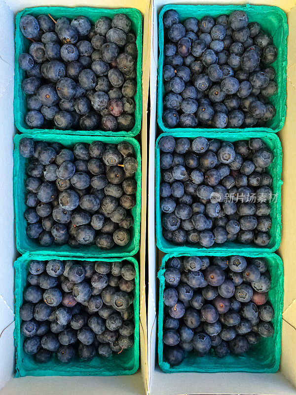 农贸市场蓝莓