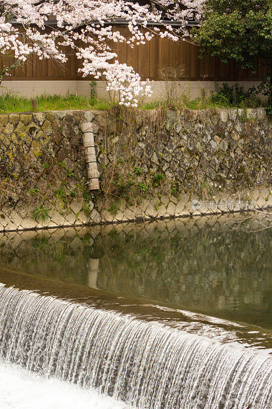 日本京都的岚山公园