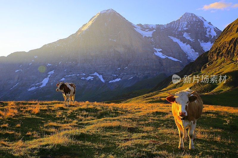 蒙克和艾格，格林德沃:瑞士阿尔卑斯山阳光明媚的日出