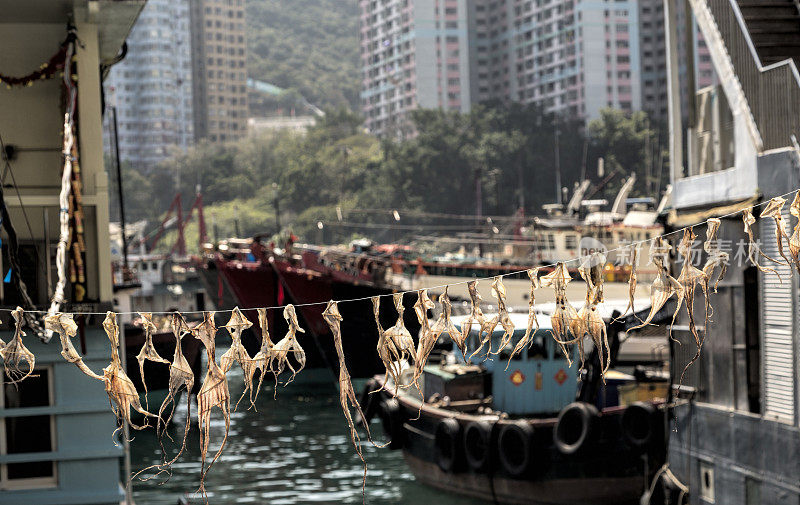 香港仔，盛产墨鱼干、舢板和摩天大楼