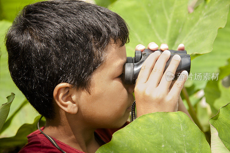 热带气候下的小男孩用双筒望远镜进行户外探险。