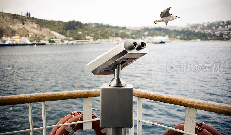 硬币操作的双筒望远镜和一只海鸥。