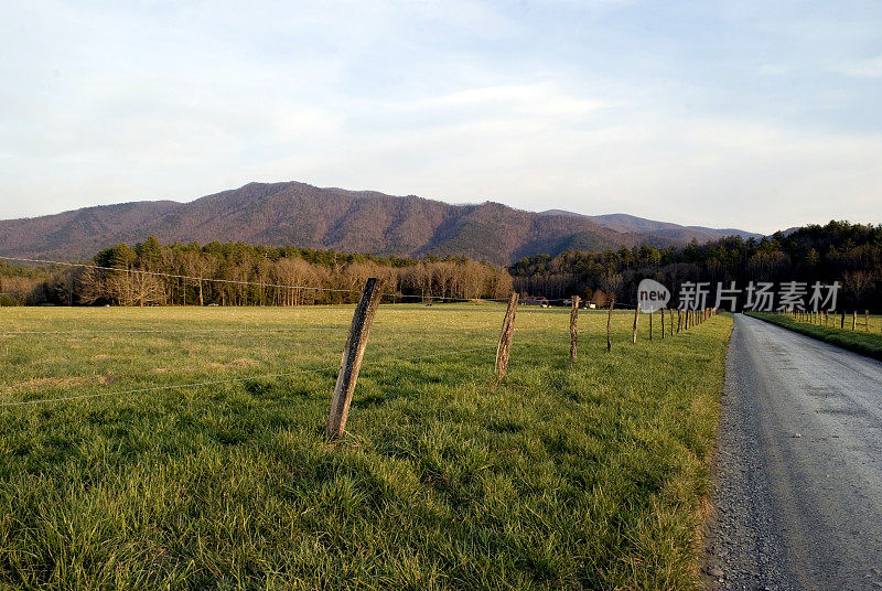 卡迪斯湾,田纳西