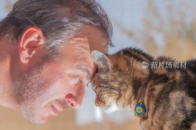 男人和老猫:真正的爱与光