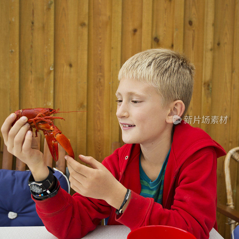 年轻的金发男孩在研究小龙虾。