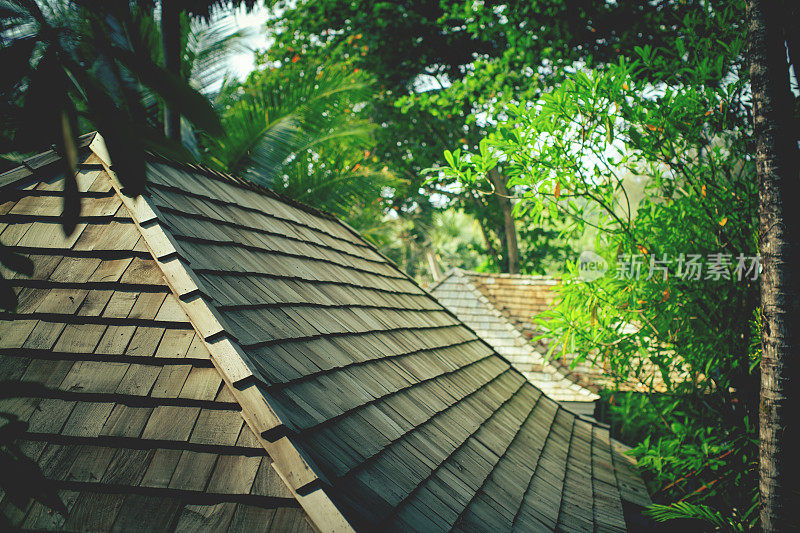 热带森林中的平房屋顶