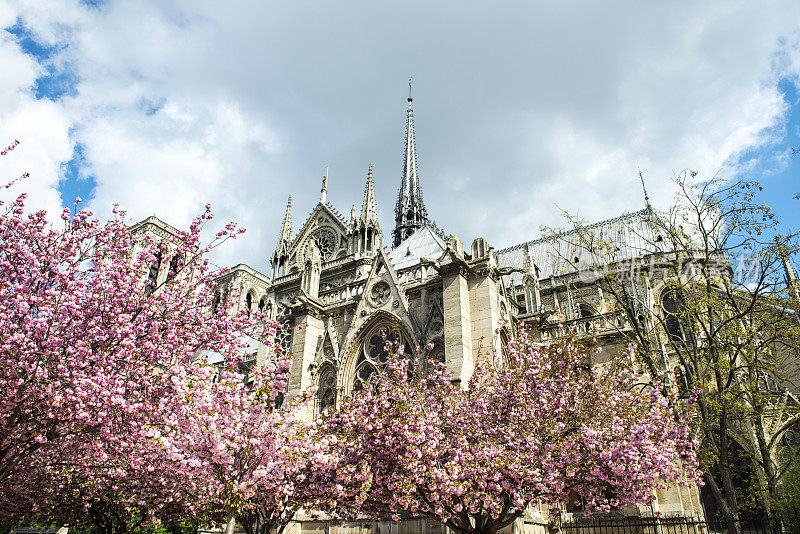 巴黎-圣母院