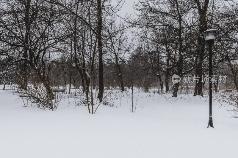 雪景公园的冬季景观