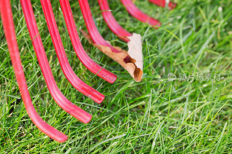 秋天的红塑料耙和落叶