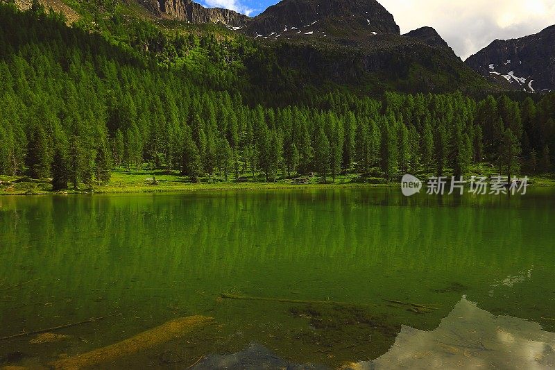 阿尔卑斯绿松石布雷斯湖(拉戈迪布雷斯)，田园诗般的景观附近雄伟的塞科费尔阿尔卑斯山谷，戏剧性的意大利南泰洛白云石雪山全景，意大利