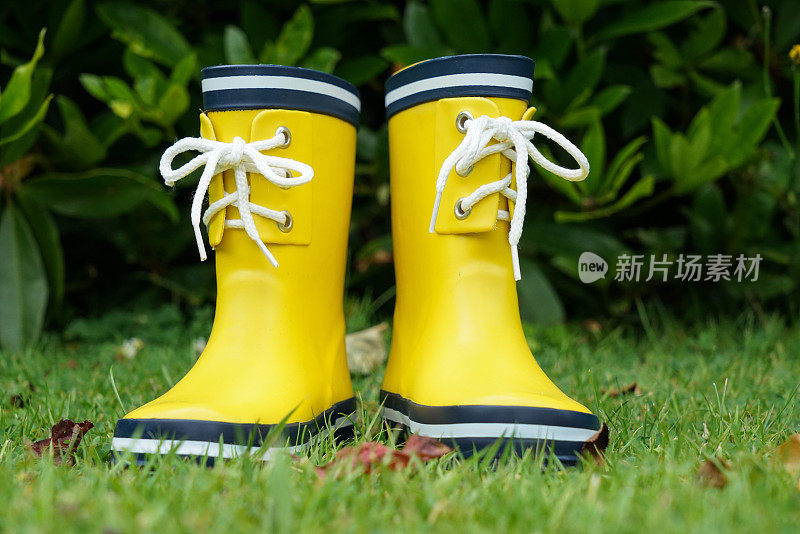 黄色的橡胶靴子在花园里