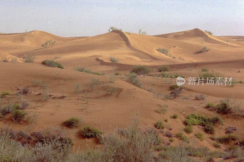 腾格里沙漠沙丘宁夏沙坡头中国中卫