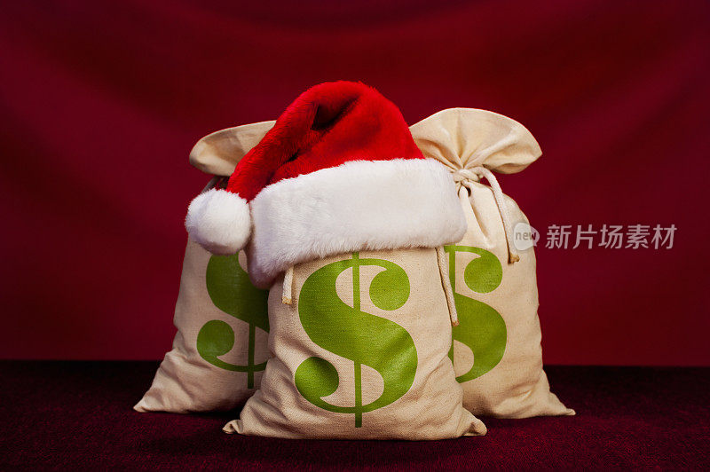 圣诞钱袋-美元