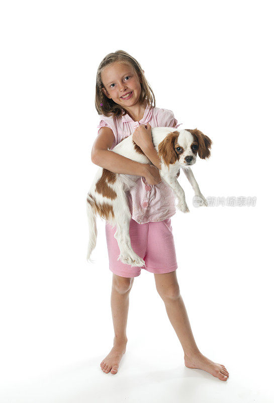小女孩抱着一只骑士查尔斯王猎犬