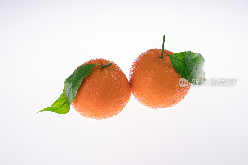 两个柑橘叶