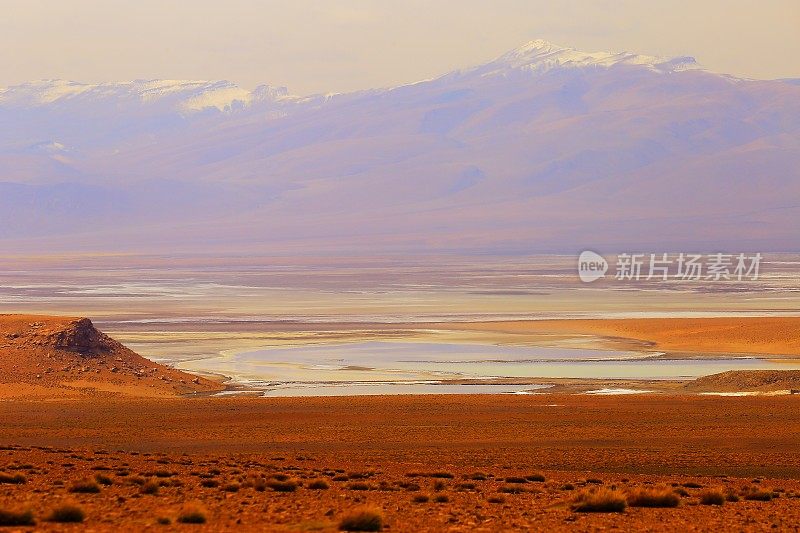 令人印象深刻的玻利维亚安第斯高原山谷和田园诗般的阿塔卡马沙漠湖泊沼泽，火山景观全景-波托西地区，玻利维亚安第斯，智利，Bolívia和阿根廷边境