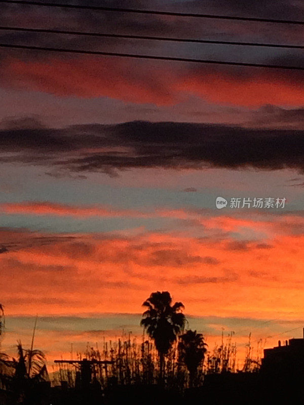 清晨，红色的水手们接受警告