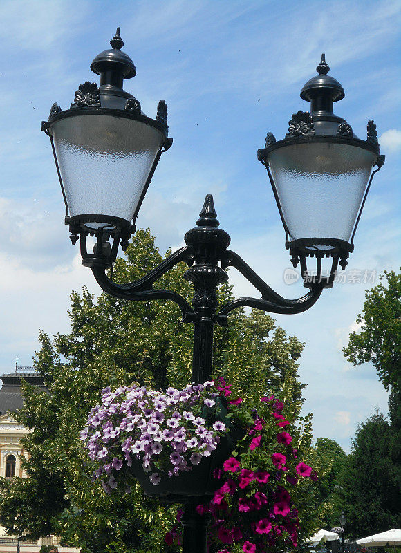 灯笼一样的街灯和挂满牵牛花的花盆