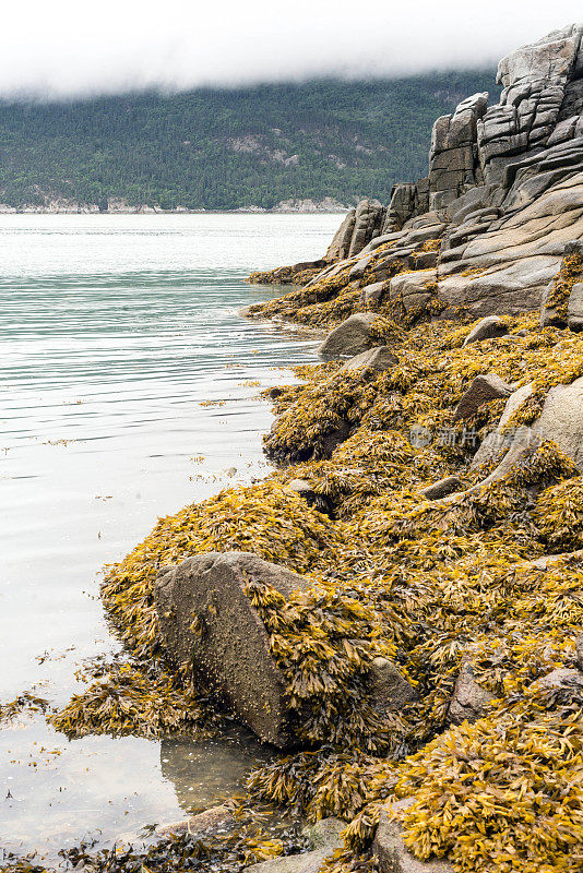 阿拉斯加沿海风景