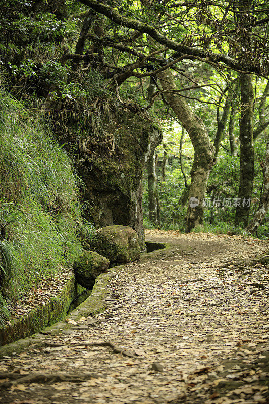 在马德拉岛徒步旅行