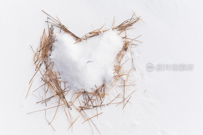 订婚戒指在雪松针心