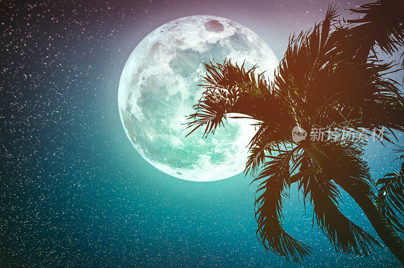 美丽的夜空景观与超级月亮后面的槟榔树。