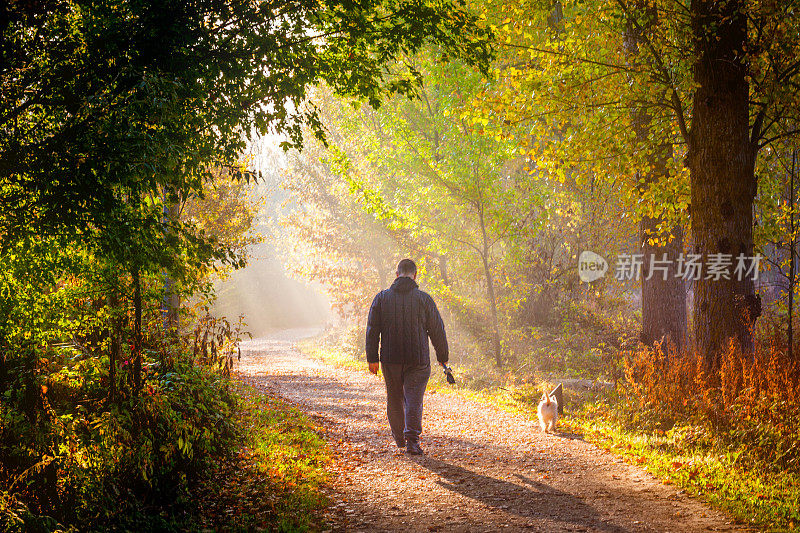 一个人在森林里遛狗