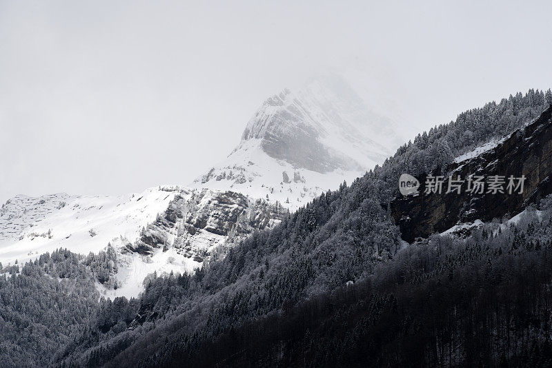 神秘的冬景