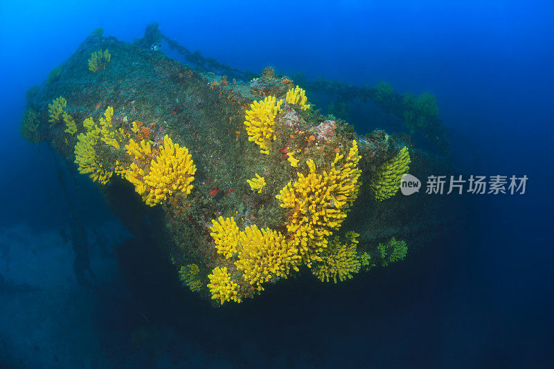 技术潜水水肺潜水员探索和享受沉船潜水海上生活水上运动技术潜水水肺潜水员的观点