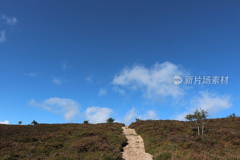 云在山坡上，小路上有树