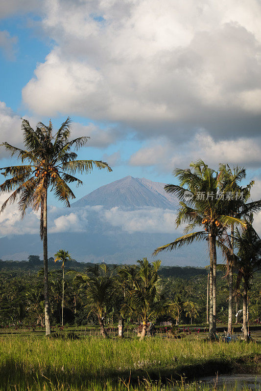 巴厘岛的阿贡山