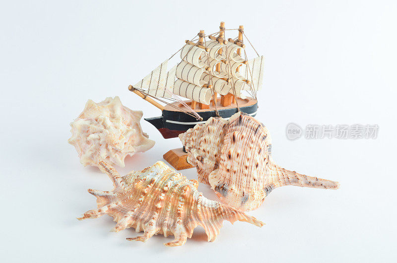 白色背景上的木制装饰船和贝壳。海洋的概念