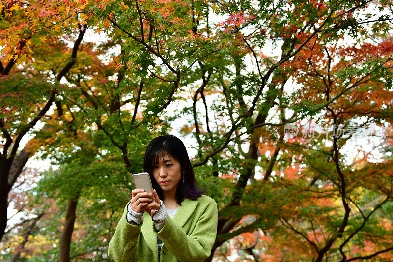 一名日本女子在东京的秋叶下自拍