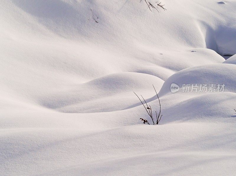 拉普兰的圆形雪和树枝