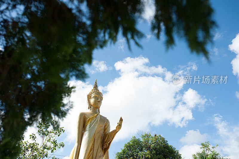 泰国颂卡红卡寺的金佛雕像