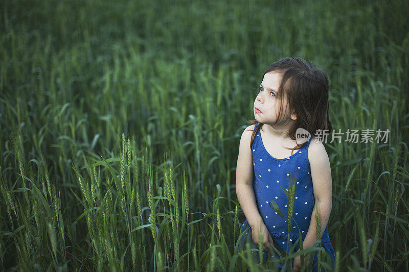 小女孩在田野里的肖像