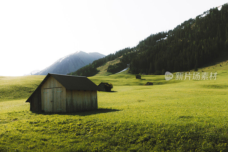 美丽的高山草甸与山上的小屋在日出的奥地利