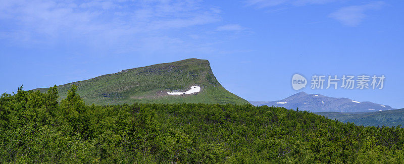 山在荒野之中，四周绿树成荫