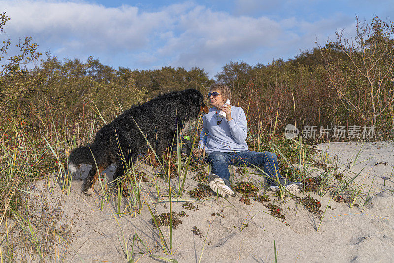 55岁的成熟活跃，有吸引力的女人和她的狗，泽嫩猎犬，坐在海边的一个沙丘上，在一个阳光明媚的秋日，喝着茶。