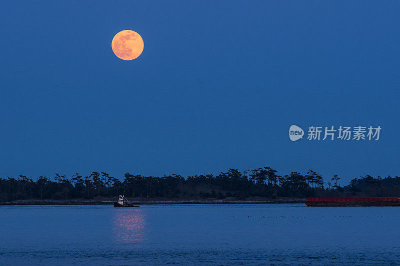 晚上的维多利亚公元前