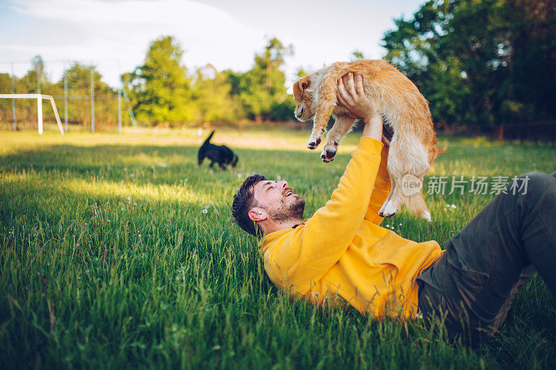 盖伊和他的狗，金毛猎犬，在院子里