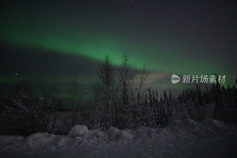 阿拉斯加费尔班克斯的北极光(极光)