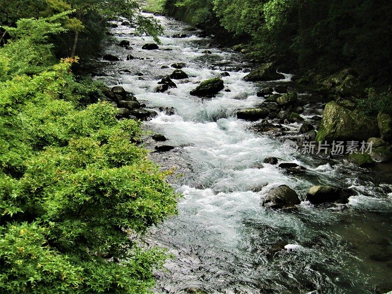 日本。7月。多雨的季节。湍急的河水在山间流淌